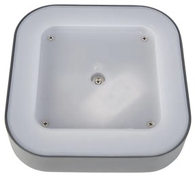 Стенна и таванна лампа сива квадратна IP54 - Ariel