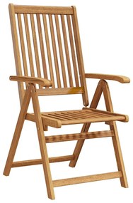 41820 vidaXL Сгъваеми градински столове, 2 бр, акация масив, кафяви