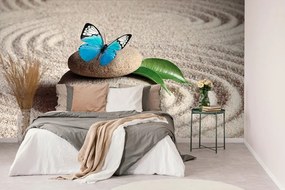 Фототапет – Синя пеперуда на зен камък