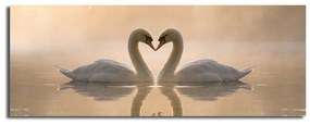 Изображението върху платно Swan Love, 90 x 30 cm - Wallity