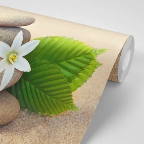Фототапет – Бяло цвете и камъни в пясък