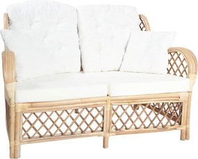 325472 vidaXL 2-местен диван, ратан