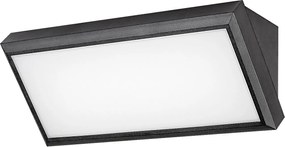 Rabalux Rapla Външно стенно осветление IP54 LED 12W 4000K 7282