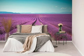 Фототапет – Безкрайно лавандулово поле