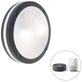 Интелигентна стенна и таванна лампа тъмно сива с Wi-Fi A60 - Glow