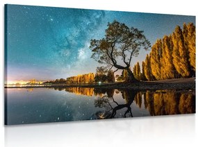 Картина на платно – Дърво под звездното небе