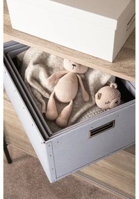 Светлосиви картонени кутии за съхранение в комплект от 3 броя Ture - Bigso Box of Sweden
