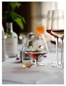 Чаши за ликьор в комплект от 2 броя 450 ml Rocks - Zone