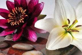 Картина на платно – Цветя в купа със Зен камъни