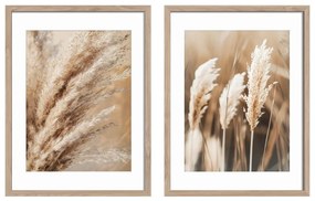Картини в комплект от 2 бр. 30x40 cm Selloana – Styler
