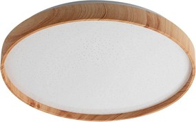 Rabalux Leana2 Таванно осветление (плафони) IP20 LED 24W 3000 71144