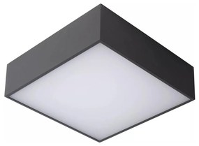 Lucide 27816/10/29 - LED Плафон за баня ROXANE LED/12W/230V IP54