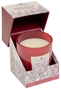 Ароматна свещ atmosphera Mael, Стъкло, 190 g - Acai & Watermelon