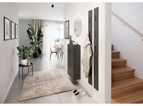 Антрацит/натурален шкаф за обувки Ameca - Germania