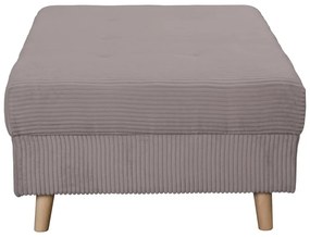 Табуретка от сив велур Ariella - Ropez