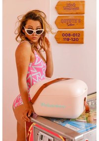 Хладилна чанта сиво-розова 20 l Classic – Polarbox
