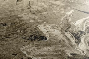 Картина на платно – Модерни рисувани божури в сепия
