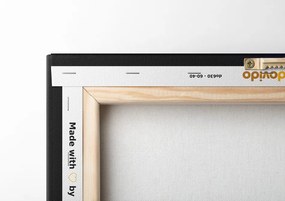 Картина на платно – Оптични влакна