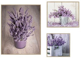 Картини в комплект 3 бр. 40x50 cm Purple Flowers – knor