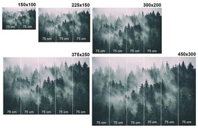 Фототапет – Зимен пейзаж