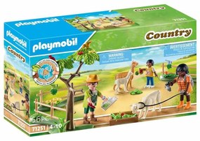 Фигурки на Герои Playmobil 71251