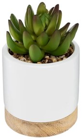 Изкуствено растение atmosphera Succulent, 12 cm, Различни видове