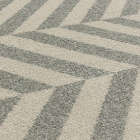 Светлосив килим 160x230 cm Muse - Asiatic Carpets