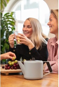 Бежов чайник от неръждаема стомана 1,1 l Duet Boston – Bredemeijer