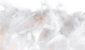 Висяща лампа в кънтри стил бяла с пера - Feather