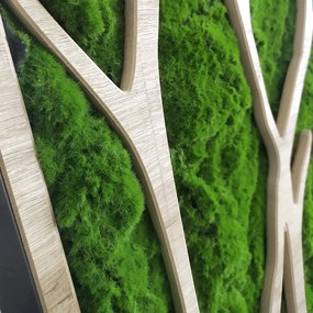 Декорация за стена 50x100 cm Tree – Styler