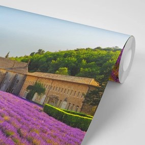 Самозалепващ фототапет – Прованс с лавандулови полета