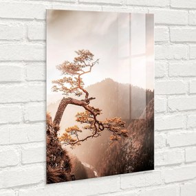 Картина върху стъкло 50x70 cm Brown Tree - Styler