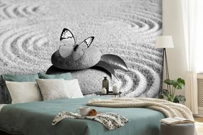 Фототапет – Черно-бял пеперуда на зен камък
