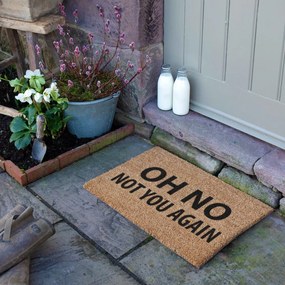 Изтривалка от кокосови влакна 40x60 cm Not You Again – Artsy Doormats