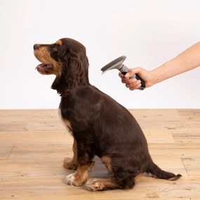 Четка за домашни любимци – Love Story