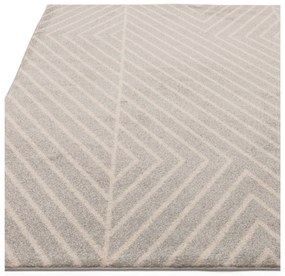 Светлосив килим 80x150 cm Muse - Asiatic Carpets