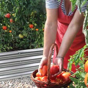 Правоъгълна повдигната метална градинска леха в сребрист цвят 240 × 120 × 30 cm