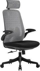 Изпълнителен стол CG3950-Gkri
