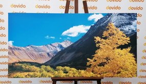 Картина на платно – Прекрасна природа на Камчатка в Русия