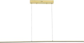 Zuma Line MS903-GD - LED полилей на кабел ESERO LED/20W/230V златист