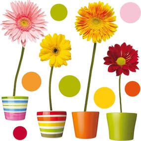 Декоративни стикери за стъкло Gerberas Ango