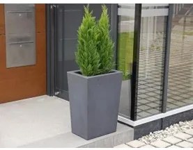 Teraplast - Кашпа SCHIO CASSA ALTA ESSENTIAL 50 - сива