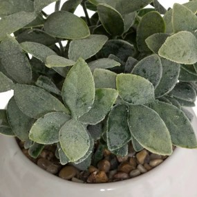 Изкуствено растение atmosphera, 19 cm, Различни видове