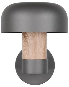 Стенно външно осветително тяло (височина 24,5 cm) Fraser – Trio