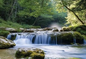 15631 - Водопад в гората