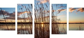 картини от 5 части – Спокойна река в село