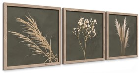 Картини в комплект 3 бр. 30x30 cm Pampas – Styler