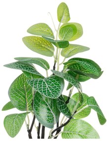 Изкуствени растения в комплект от 2 бр. (височина 28 cm) – Casa Selección