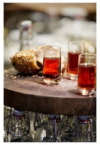 Чаши за шотове 3 бр. 50 мл Rocks - Zone