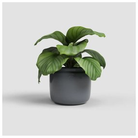 Керамична ръчно изработена саксия за цветя ø 20 cm Astrea – Artevasi